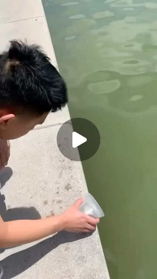 Snagfish Instagram video poster
